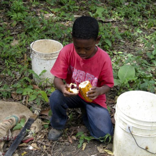 Young Boy Helping dad harvest