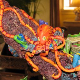one of the octopi