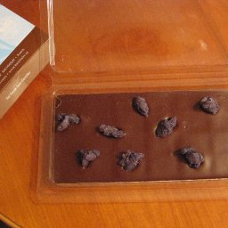 purple choco popop
