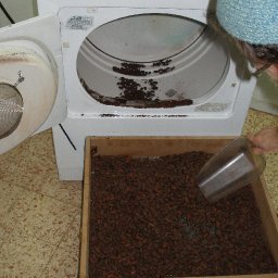 Removing cocoa from the roaster