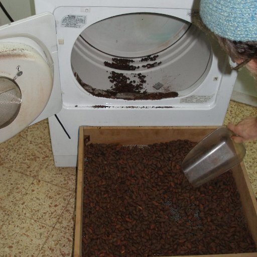 Removing cocoa from the roaster