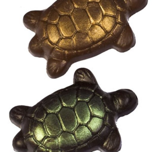 Turtles