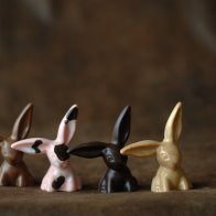 Flop eared bunnies