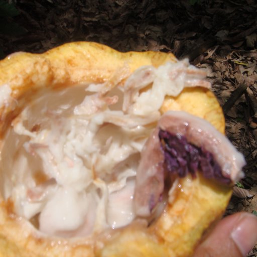 DSC00389