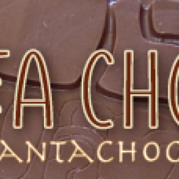 banner danta