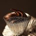 Stockfood_265953