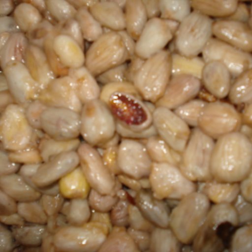 Cacao Fresco