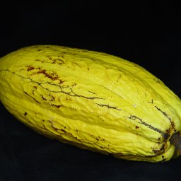 DSC04415