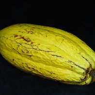DSC04415