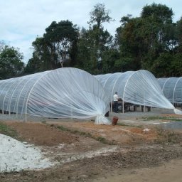 Barcaças Ecológicas