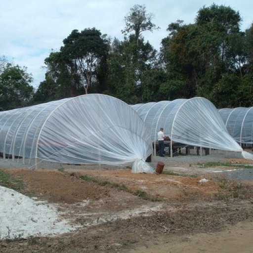 Barcaças Ecológicas