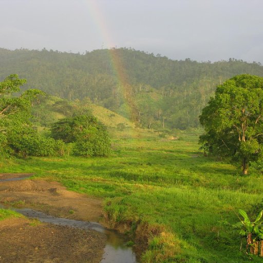 Cerros RSJ