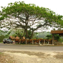 El Saman