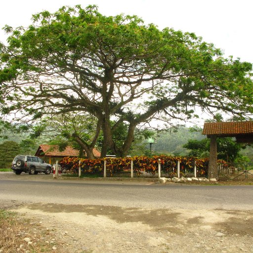 El Saman