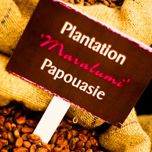 Paris Salon du Chocolat 2008