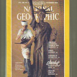 The Choc Issue Nov 1984