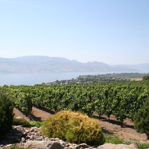 My favorite Winery