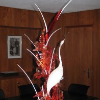 IMG_0005