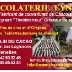 cartevisite