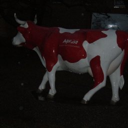 Swiss chocolate cow Rose in rain :), Caslano