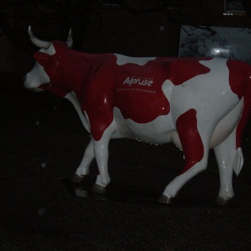 Swiss chocolate cow Rose in rain :), Caslano