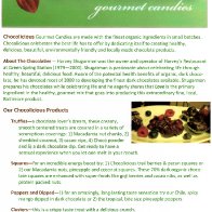 ChocoLicious hand out006