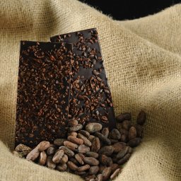 20100105_ISR_GushEtzion_MaaleChever_Tevet5770_HolyCacao_0037_FULL