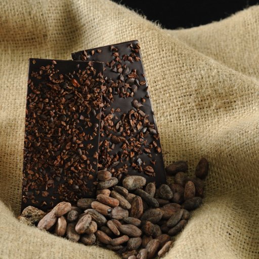 20100105_ISR_GushEtzion_MaaleChever_Tevet5770_HolyCacao_0037_FULL