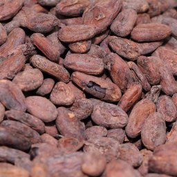 20100105_ISR_GushEtzion_MaaleChever_Tevet5770_HolyCacao_0091_FULL