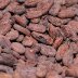 20100105_ISR_GushEtzion_MaaleChever_Tevet5770_HolyCacao_0091_FULL
