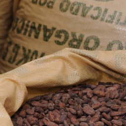 20100105_ISR_GushEtzion_MaaleChever_Tevet5770_HolyCacao_0093_FULL