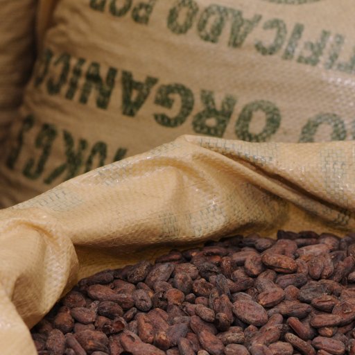 20100105_ISR_GushEtzion_MaaleChever_Tevet5770_HolyCacao_0093_FULL