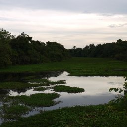 A View of the Arroyo Tranquilidad
