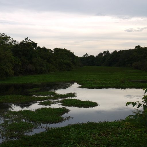 El Rio Tranquilidad - Eastern Beni, Bolivia
