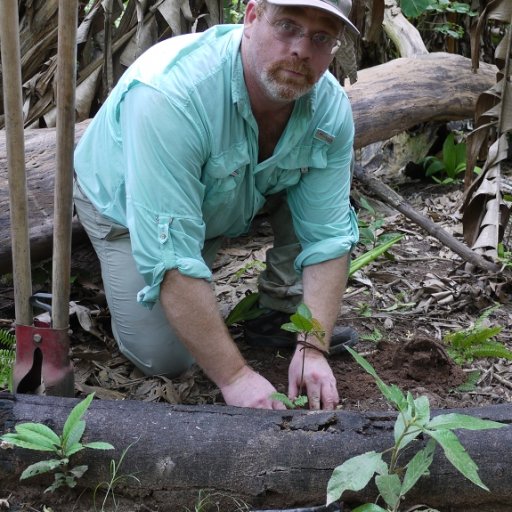 Planting a Wild Cacao Seedling