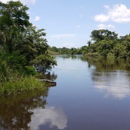 The Rio Blanco