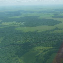 The Beni Savanna