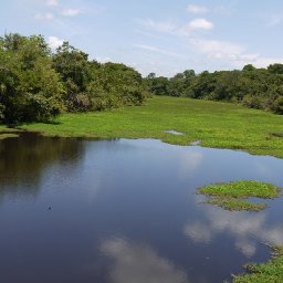 The Arroyo Tranquilidad at Mid-Day