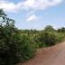 The Road to Tranquilidad
