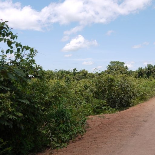 The Road to Tranquilidad