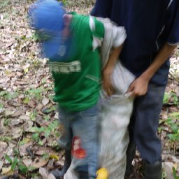 Miguel Angel and Marco Harvesting (4)