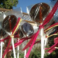 a lollipop forest