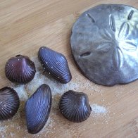 shells