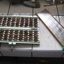 guillotine cut tests