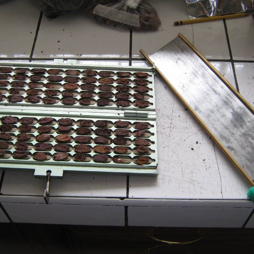 guillotine cut tests