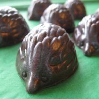 hazelnut hedgehogs