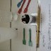 organoleptic taste testing