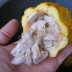 Open pod