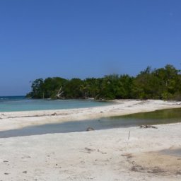 Snake Caye Beach View