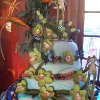2009 September pics 205
